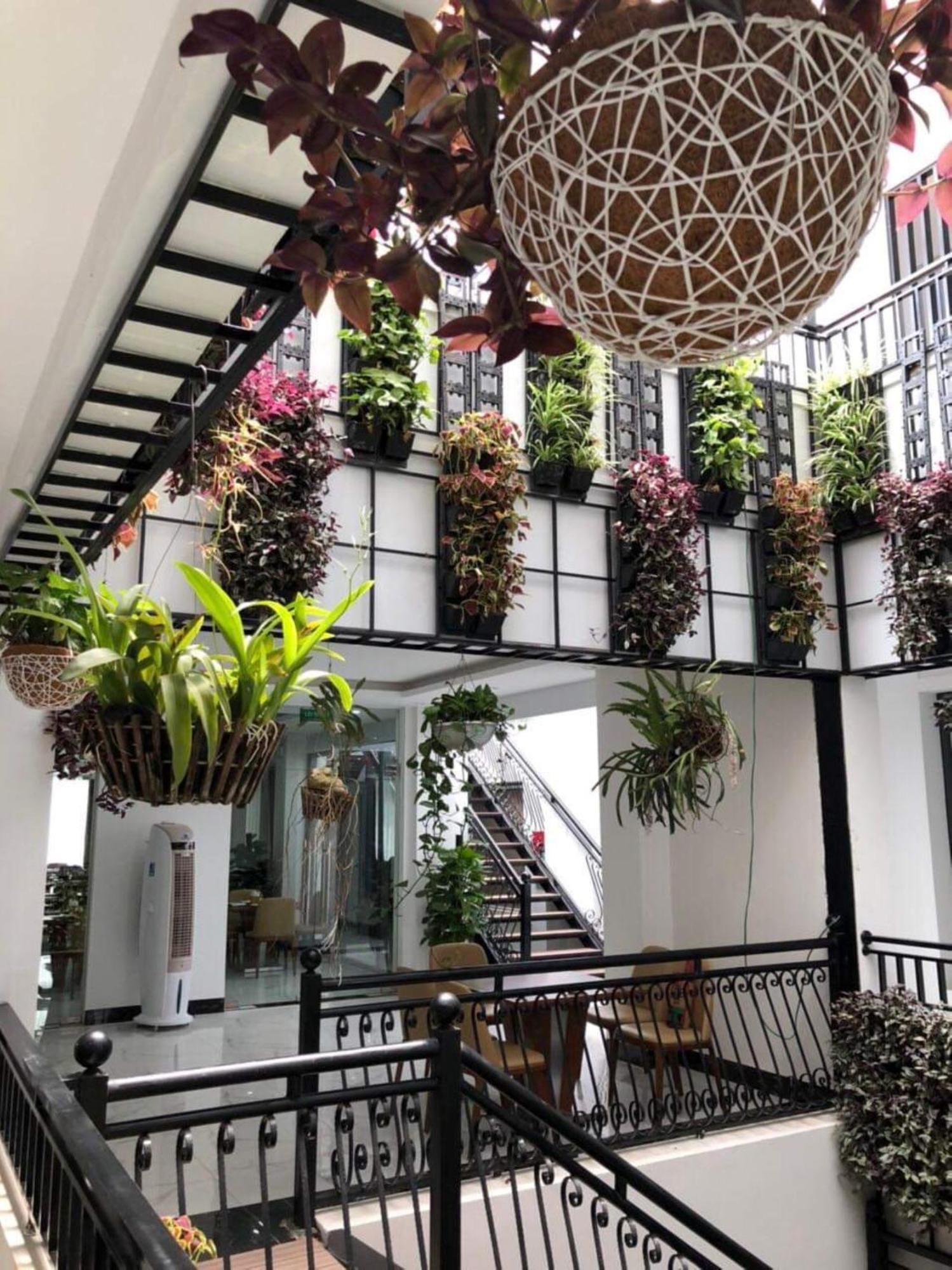 Hoa Hong Hotel ソンラ エクステリア 写真
